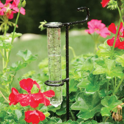 Toland Home Garden Mini Decorative Outdoor Garden StakeÂ Rain Gauge StatueÂ with Glass UdometerÂ for Yards Gardens and Planters 211059